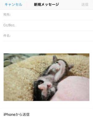 Iphoneでgifを保存 再生 転送する方法完全収録