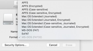 is ms dos fat 32 format good for windows and mac